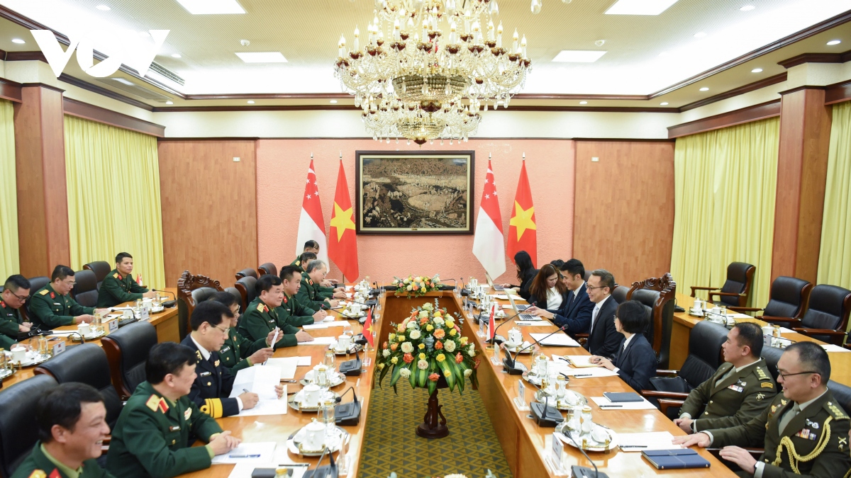 Results of Vietnam-Singapore defence cooperation under scrutiny